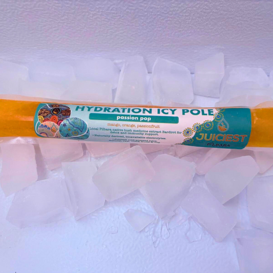 Passion Pop - Mango, Orange, Passionfruit Hydration Icy Pole