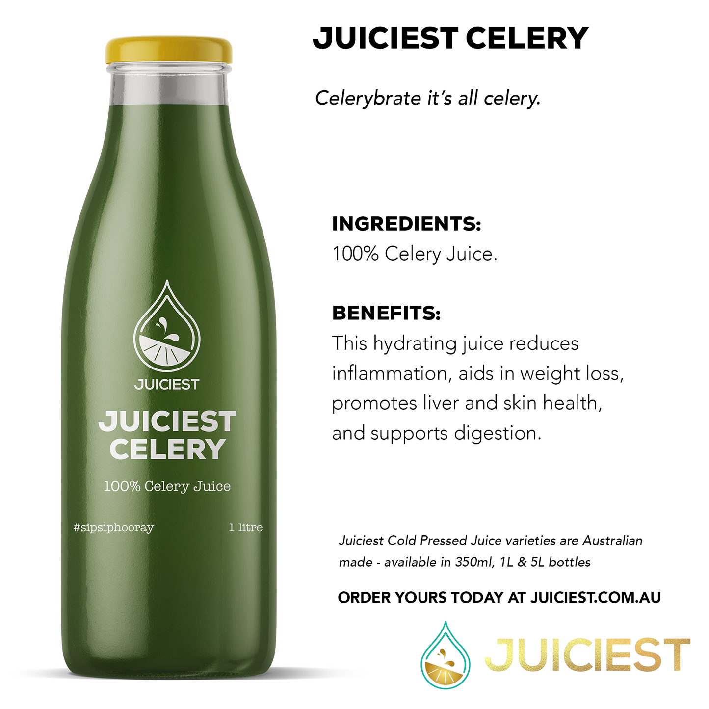 Juiciest Celery Infographic