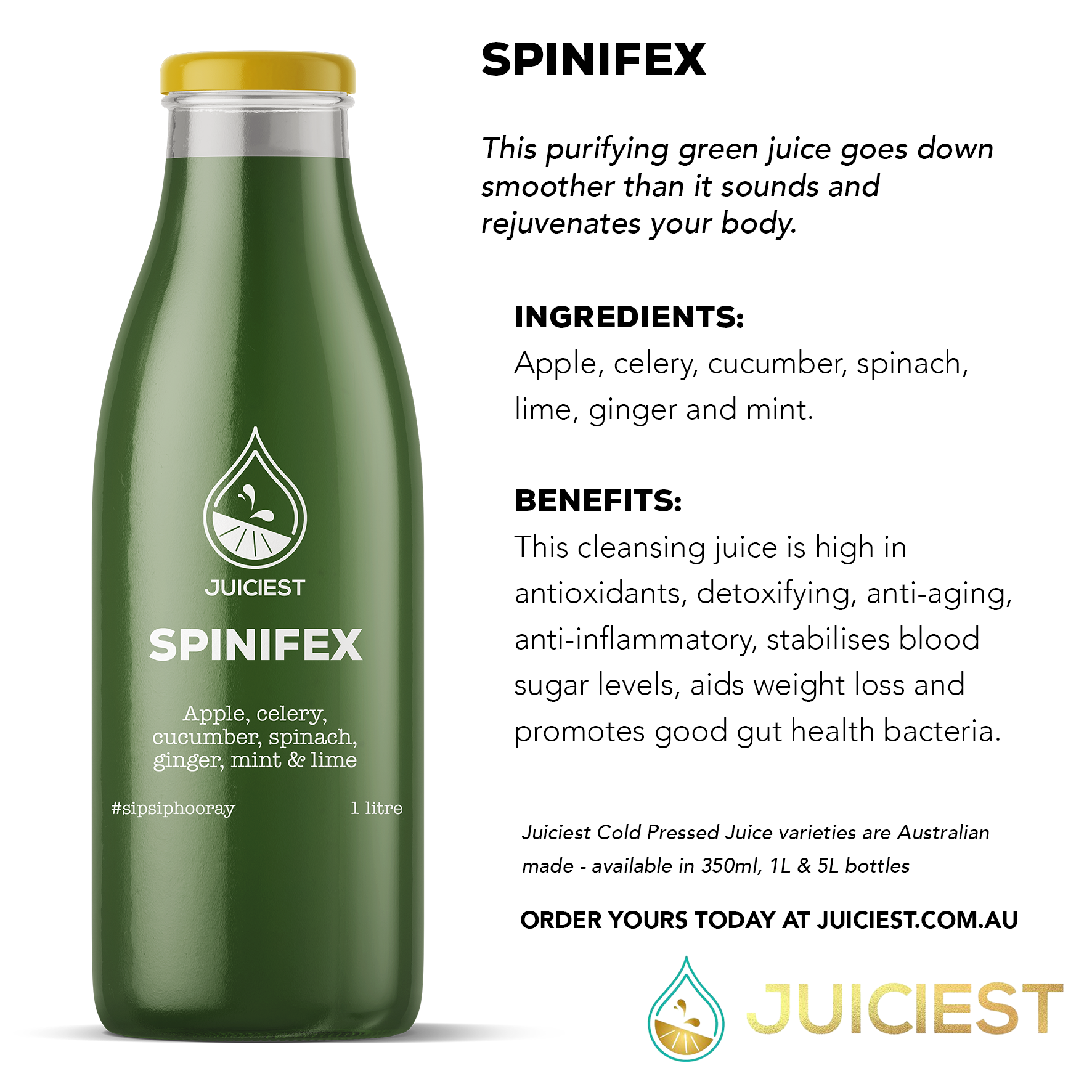 Juiciest Spinifex Infographic