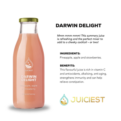 Darwin Delight NT