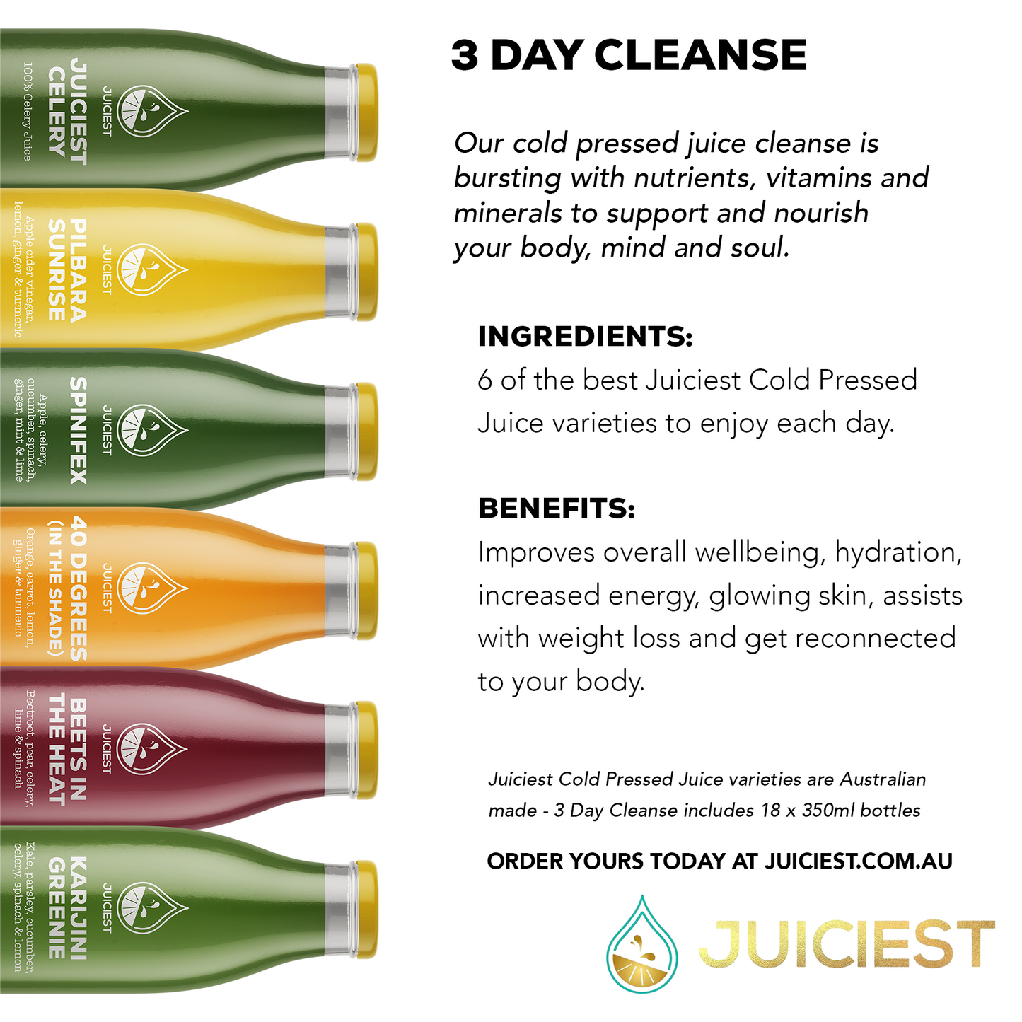 Juiciest 3 Day Cleanse Infographic