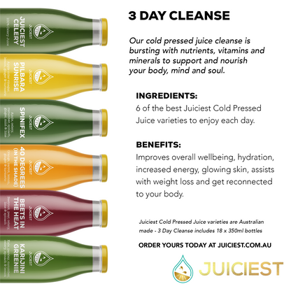 Juiciest 3 Day Cleanse Infographic