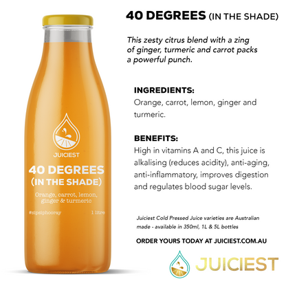 Juiciest 40 Degrees (in the shade) Infographic